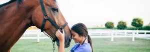horse insurance NZ